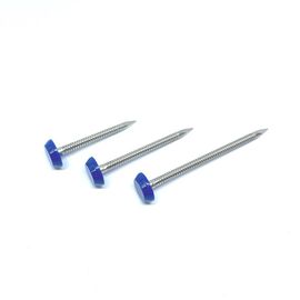 40mm SUS316 Ring Shank Nắp nhựa để cố định Fascia và Soffit