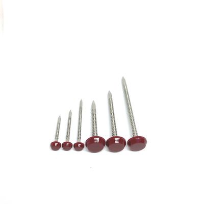 Đinh mái lợp bằng nhựa SS304L chống ăn mòn