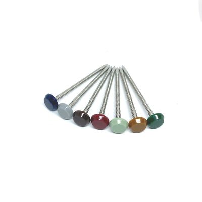 Vòng thép không gỉ 316 được đánh bóng Đinh đầu bằng nhựa