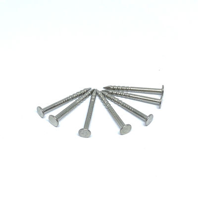 1.6X19MM Ring Shank 316 đinh đầu phẳng bằng thép không gỉ