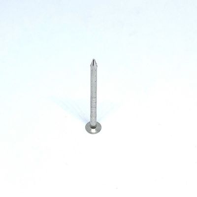 Bốn chân rỗng Đầu phẳng 2.8X30MM A4 Đinh thép không gỉ cho gỗ