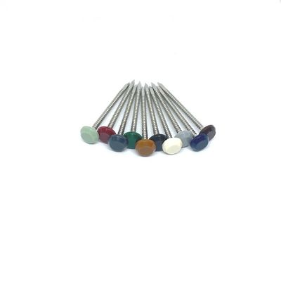 A4 thép không gỉ UV ổn định đầu đinh bằng nhựa Đầu nylon PA6