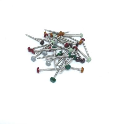 Nylon PA6 Vòng hình khuyên Chân nhựa có đầu bằng thép không gỉ 304L