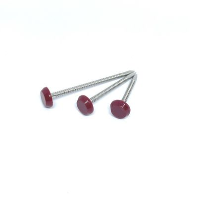 65MM thép không gỉ A2 Annular Ring Nails Nylon PA6