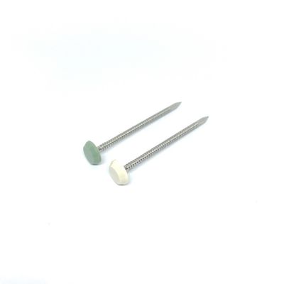Bảo trì thép không gỉ Miễn phí đinh đầu bằng nhựa Nylon PA6 Chiều dài 50MM