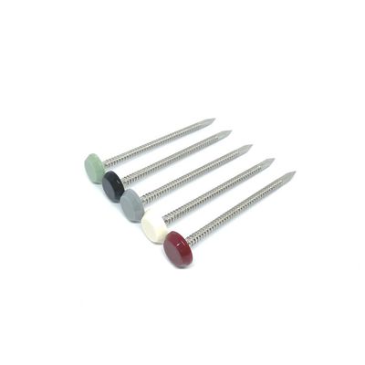 Chiều dài 65MM Nylon đầu bằng nhựa với chuôi có vòng