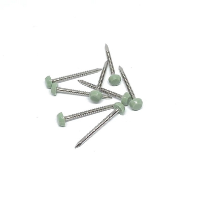 Thép không gỉ A2 / A4 Vòng quay đầu đinh bằng nhựa 2.0X30mm