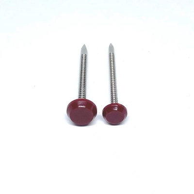 Ring Shank Trụ nhựa đầu đinh để xây dựng Chiều dài 50mm A4 Thép không gỉ