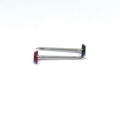 Vòng tròn hình khuyên đầu đinh bằng nhựa cho mái lợp 3.0X50MM