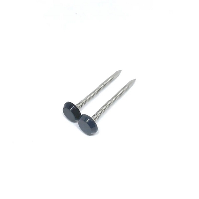 Vòng thép không gỉ A4 Trụ nhựa Đầu đinh màu đen Anthracite Xám 50MM