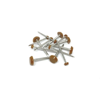 Ral 8003 Brown chống tia cực tím đầu và đinh ghim để lợp mái 2.0 / 3.0X40mm