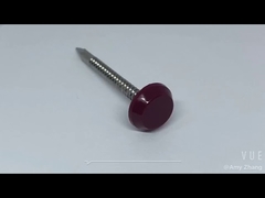 Đinh đầu nhựa thép không gỉ